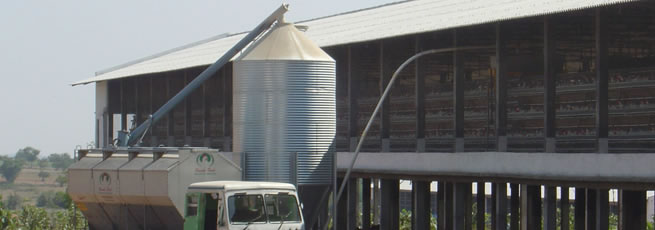 POULTRY FEED SILO