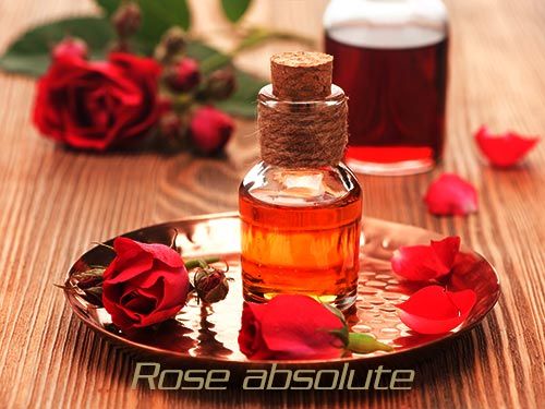 Bulgarian Rose Absolute Oil
