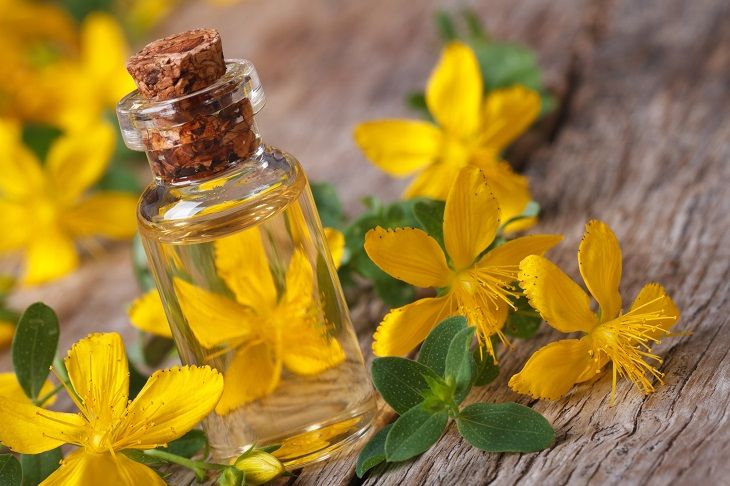 St. John's Wort Oil
