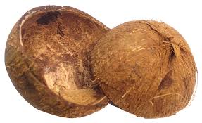 Coconut Shell at best price in Thrissur by Continental Enterprises