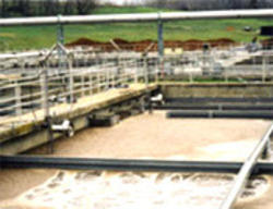 Sewage Treatment Plant (STP)