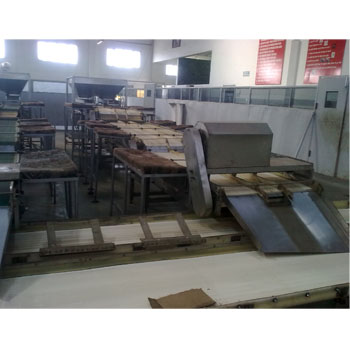 Sortation Conveyor