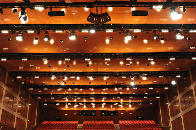 Auditorium Acoustical Ceiling