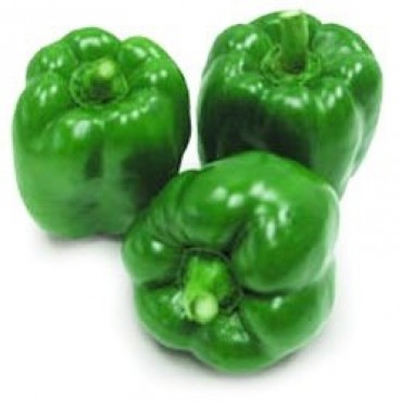 capsicum