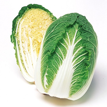 Chinese Cabbage