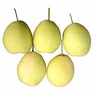 shandong pear
