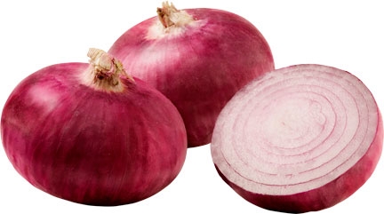 Common fresh red onion, for Cooking, Enhance The Flavour, Human Consumption, Packaging Type : Jute Bags