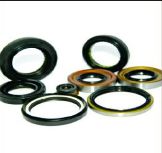 Oil Seals