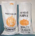 Pumpkin Bags
