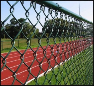 PVC Coated Chain Link Fence