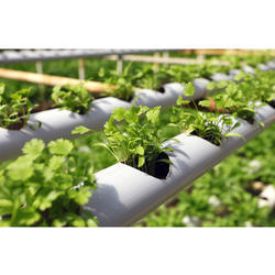 PVC Hydroponic Pipes