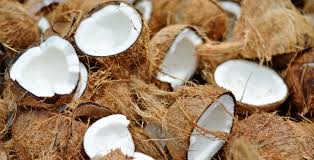 Fresh Coconut