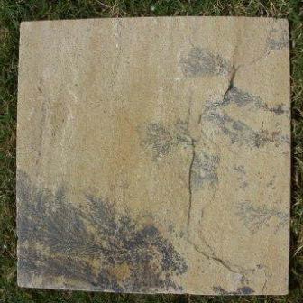 Fossil Mint Sandstone Tile