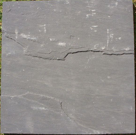 Sagar Black Natural Sandstone