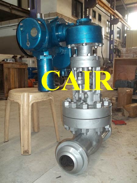 Electrically Actuated Steam Valve