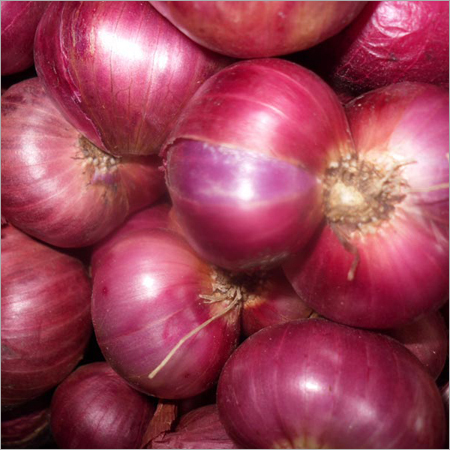 Fresh Pink Onion at Best Price in Mumbai