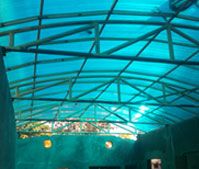 Polycarbonate Roofing Sheets