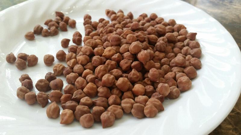 Black Chickpeas