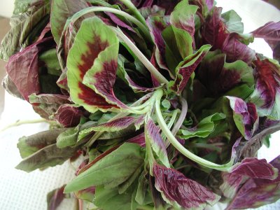 Fresh Amaranth Leaves (Mulaikeera)