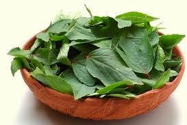 Fresh Gogu Leaves (Pulicha Keerai)