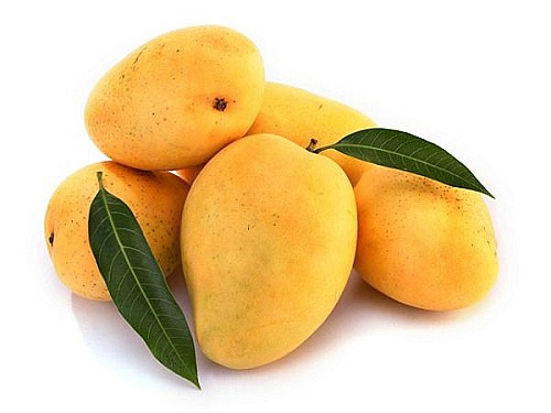 fresh mango