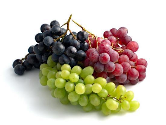 Organic fresh grapes, Packaging Type : Net Bag