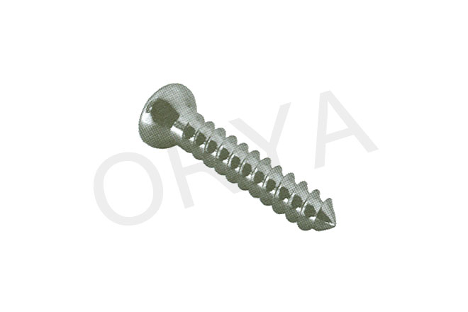 Malleolar Bone Screws