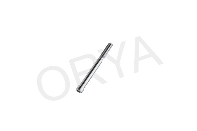 PFN Nail Screw