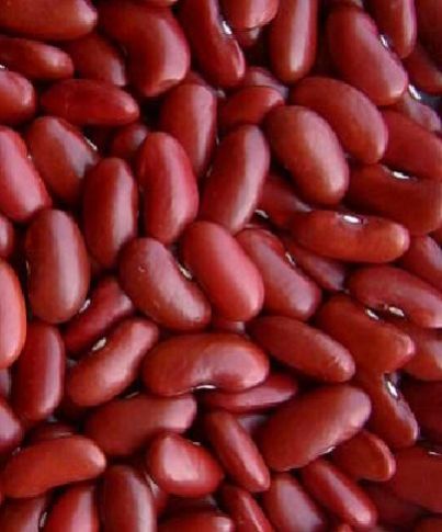 Red Kidney Bean