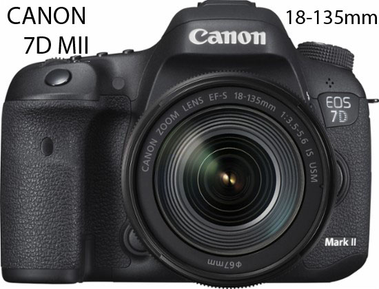 7D M II Canon Camera