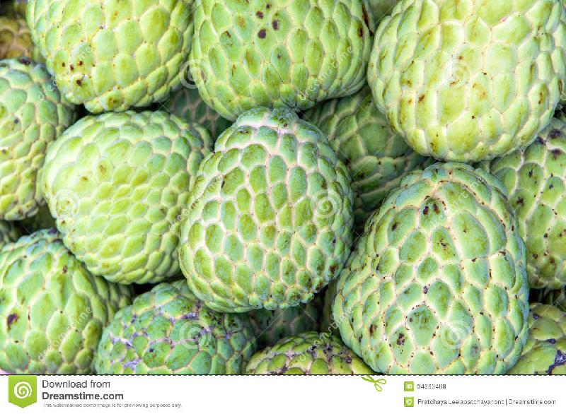 Custard apple что это за фрукт