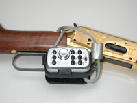 Push Button Trigger Lock