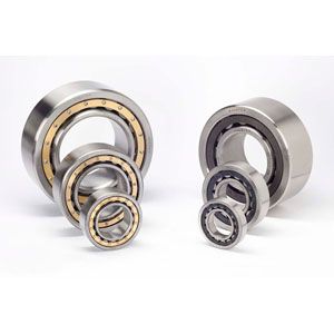 Cylindrical Bearings