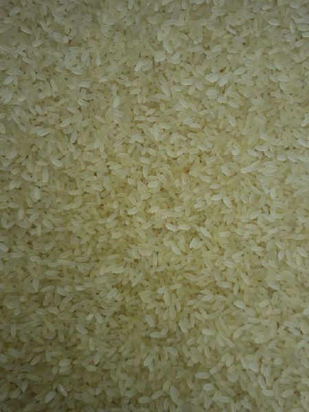 Hard Common Swarna Parboiled Rice, Style : Dried