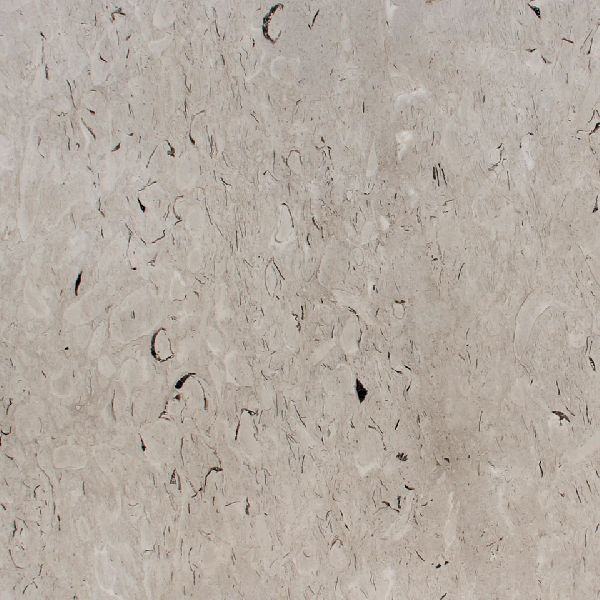 Fossil Grey Marble Stone