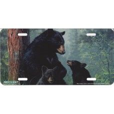 Bear Family License Plate