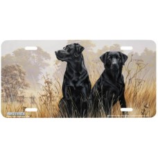 Black Labrador Retriever Dog License Plate