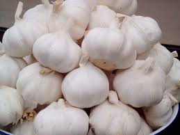 Fresh garlic, Packaging Type : Plastic Bag or Polythene, Carton