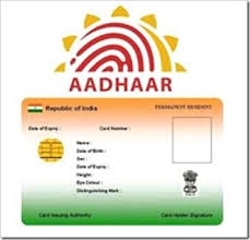 PVC Aadhar Card Printing Services