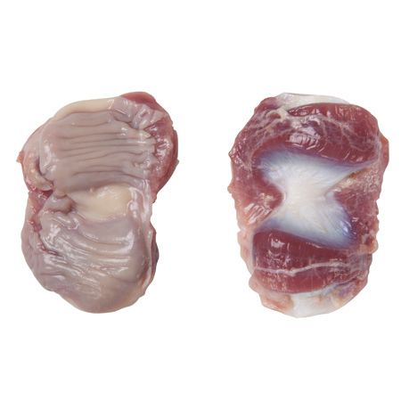 Frozen Chicken Gizzards