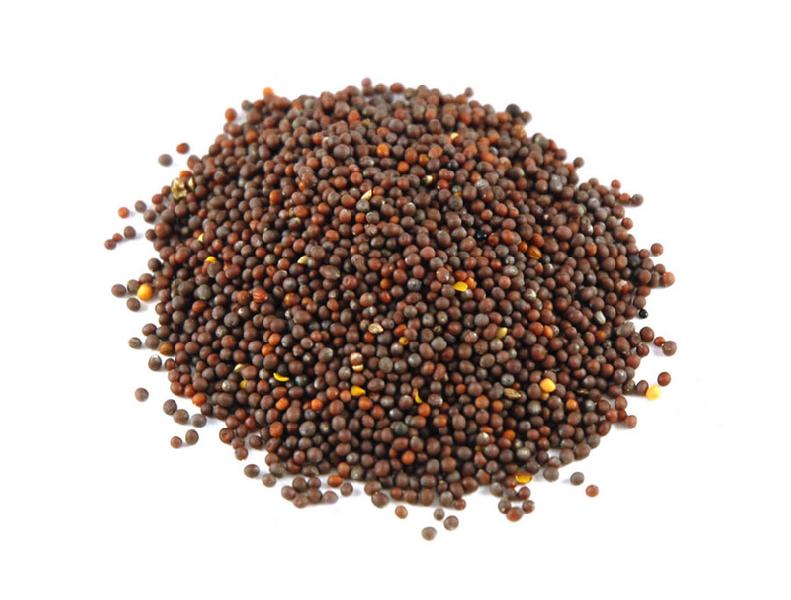 Mustard Seeds (Sarso)