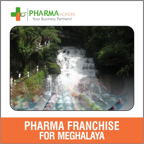 PCD Pharma Franchise Services