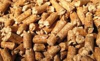 Buy Premuim Quality Wood Pellets 6mm - 8mm