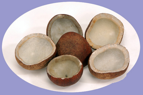 coconut copra