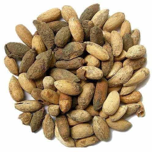 Natural Dried Neem Kernels