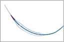 ptca balloon catheters