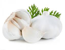 fresh garlic