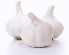 White Garlic