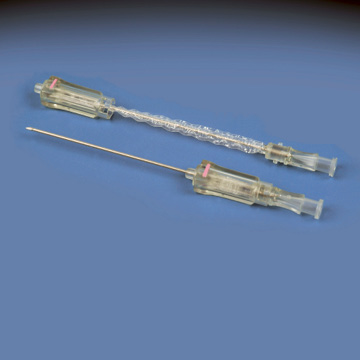 Guidewire Introducer Needle