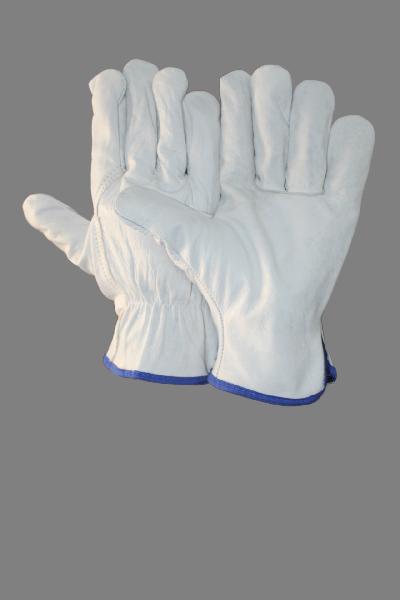 EW-DC71 Driving Gloves, Size : 10 inch